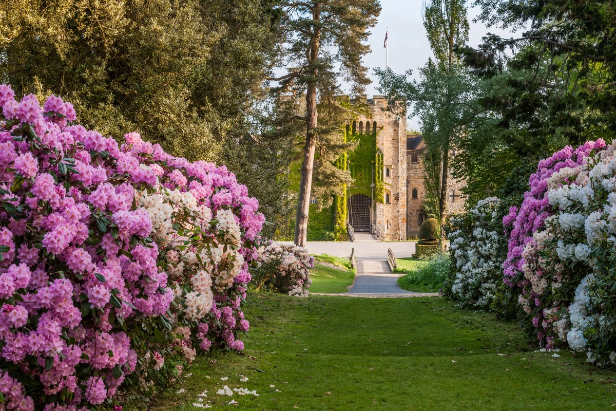 Did you know that Hever Castle is a partner garden with the @The_RHS? Due to the M25 closures this weekend, we are allowing RHS Members entry on Saturday 11 & Sunday 12 May. 🩷 #HeverCastle #RHS #RHSPartnerGarden