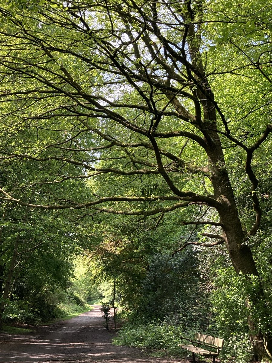 Bridle path, Golders Hill Park
#HampsteadHeath, London