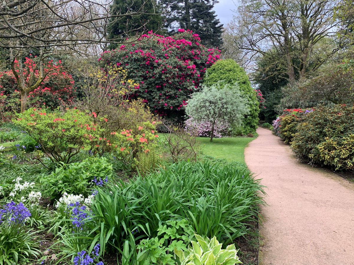 The stunning spring colour in the garden is vivid enough to brighten even the gloomiest of days. From bright pinks to the violet blue camassia and deep pink rhododendrons, there are bursts of colour to enjoy around every corner. bit.ly/3PdxpXS