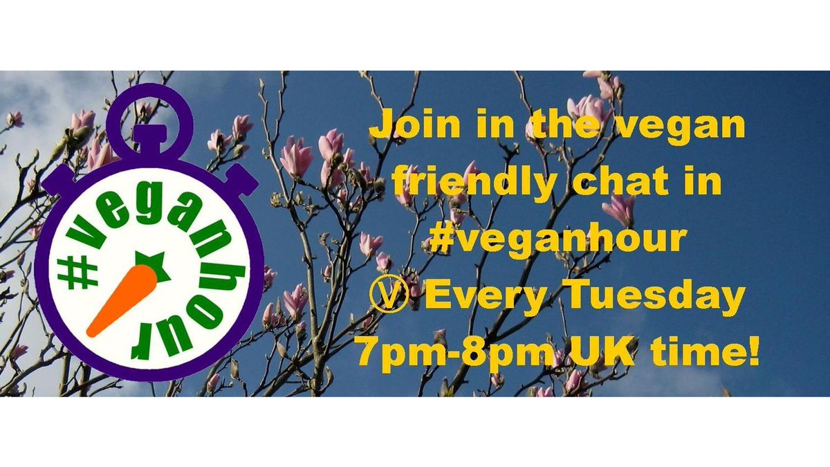 Don't forget to join in the vegan friendly chat in #VeganHour every Tuesday.
7pm-8pm BST. 🕖

Share your vegan food, recipes, animal rights, action & campaigns etc. Ⓥ

#vegan #animalrights #veganrecipes #veganism #veganfortheanimals

🗨 🇻 🇪 🇬 🇦 🇳 🌍