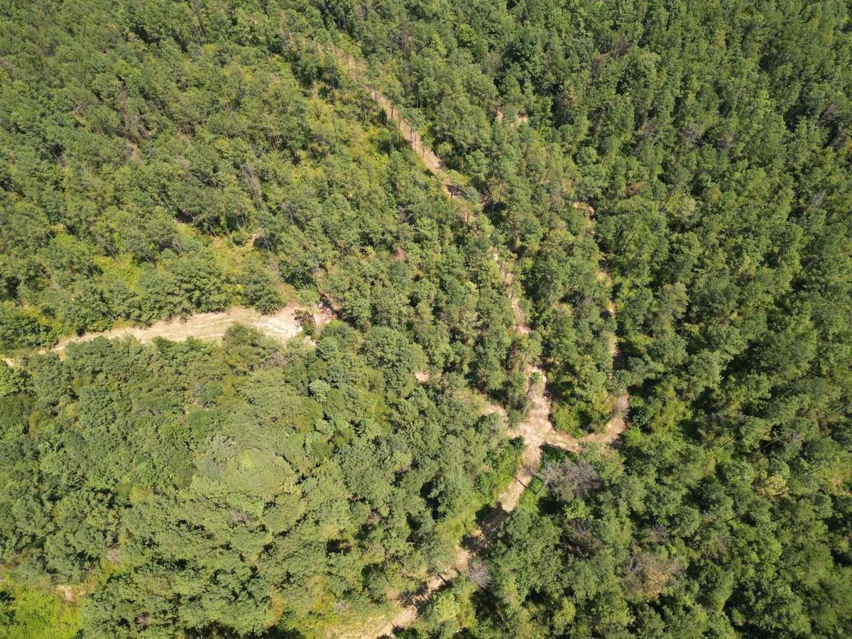 180 +/- Acres - Hale County, AL - $450,000
Richie Barnes 205-518-2316
Located near County Road 29.
buff.ly/4dgGBF5 
#trustedlandprofessionals #tuttlandco #landforsale #forsaleinalabama #tlc