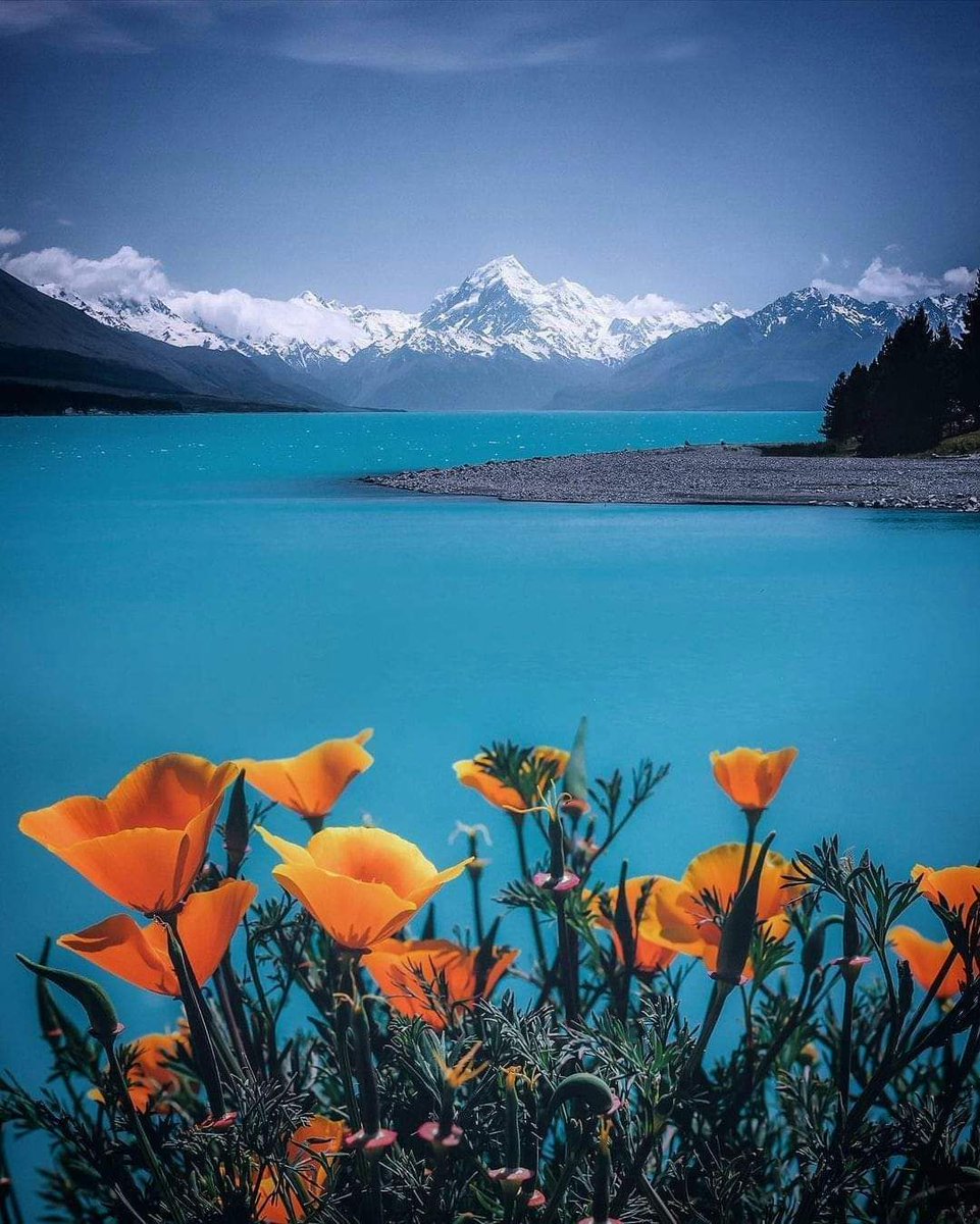 💕 Aoraki Mount Cook National Park in New Zealand. Let the majestic mountains and crystal-clear lakes inspire your soul. 🏔️✨ 
📸 @rachstewartnz 
.
.
.
.
.
#AorakiMountCook #NewZealand #NatureInspiration #HappinessIsAChoice #Wanderlust #FinesseHolidays #TravelPhotography