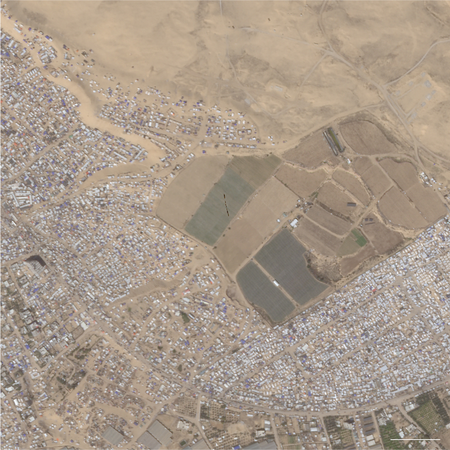 #Rafah - 1.5m people crammed into an area about the size of Limerick City. Aerial photos in @el_pais show the surge of tents from October (L) to April (R). Aid not getting in, hunger widespread - and now the fear of bombs & tanks arriving. Trying to flee again. #CeasefireNOW
