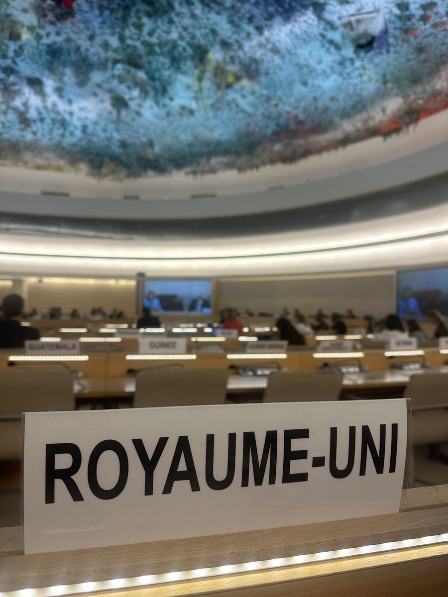 The Universal Periodic Reviews are a key part of the UN’s human rights machinery 🇺🇳 Delighted to speak today at the reviews of 2 current members of the @UN_HRC - Vietnam 🇻🇳 and the Dominican Republic 🇩🇴 - with whom we work so closely on the Council and in their capitals 🇩🇴🇻🇳🇬🇧