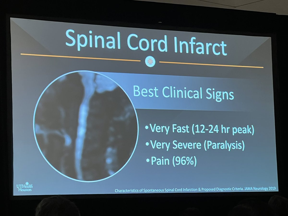 Rapid fire Spine cases by @JMcCartyMD #ARRS24