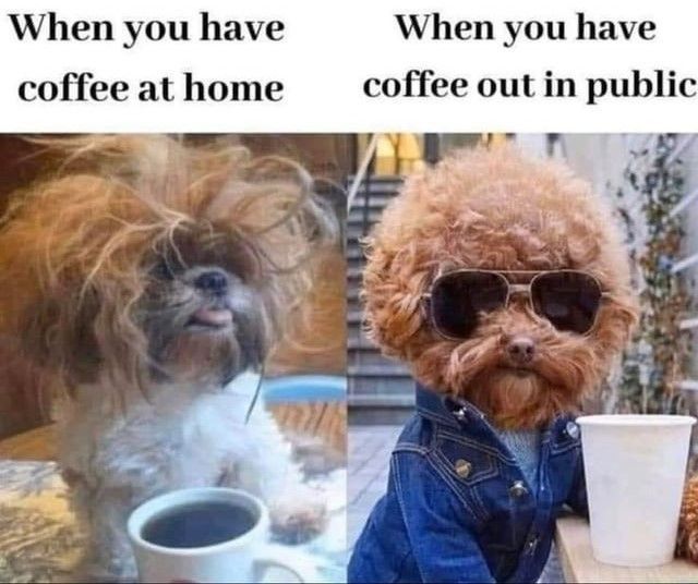 I mean, if I'm going out and ordering a fancy #coffee, I'm going to look like a fancy coffee! 😆 The problem is I need that at home coffee first. 🥱 

#CoffeeFirst #coffeetime #morningcoffee #fancycoffee #coffeebreak #coffeelover #coffeememe