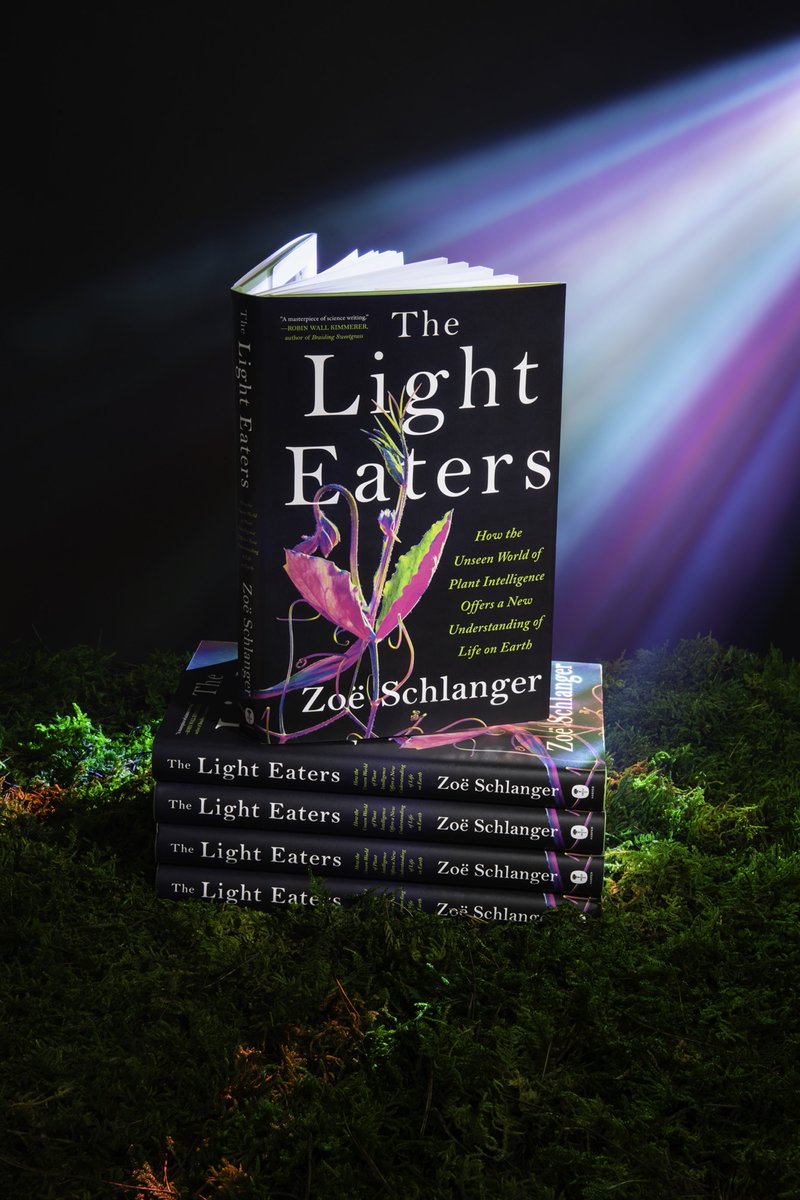 THE LIGHT EATERS by Zoë Schlanger is on sale today! It's an eye-opening, awe-inspiring look inside the world of plant intelligence that is not to be missed. Robin Wall Kimmerer calls it 'A masterpiece of science writing.' Get your copy now: harpercollins.com/products/the-l…