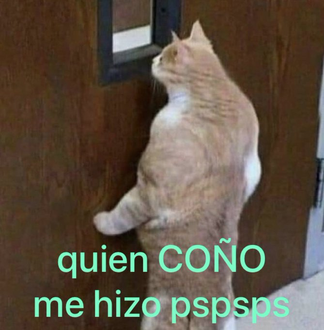 souul ​​❄️​​ (@frigosouul) on Twitter photo 