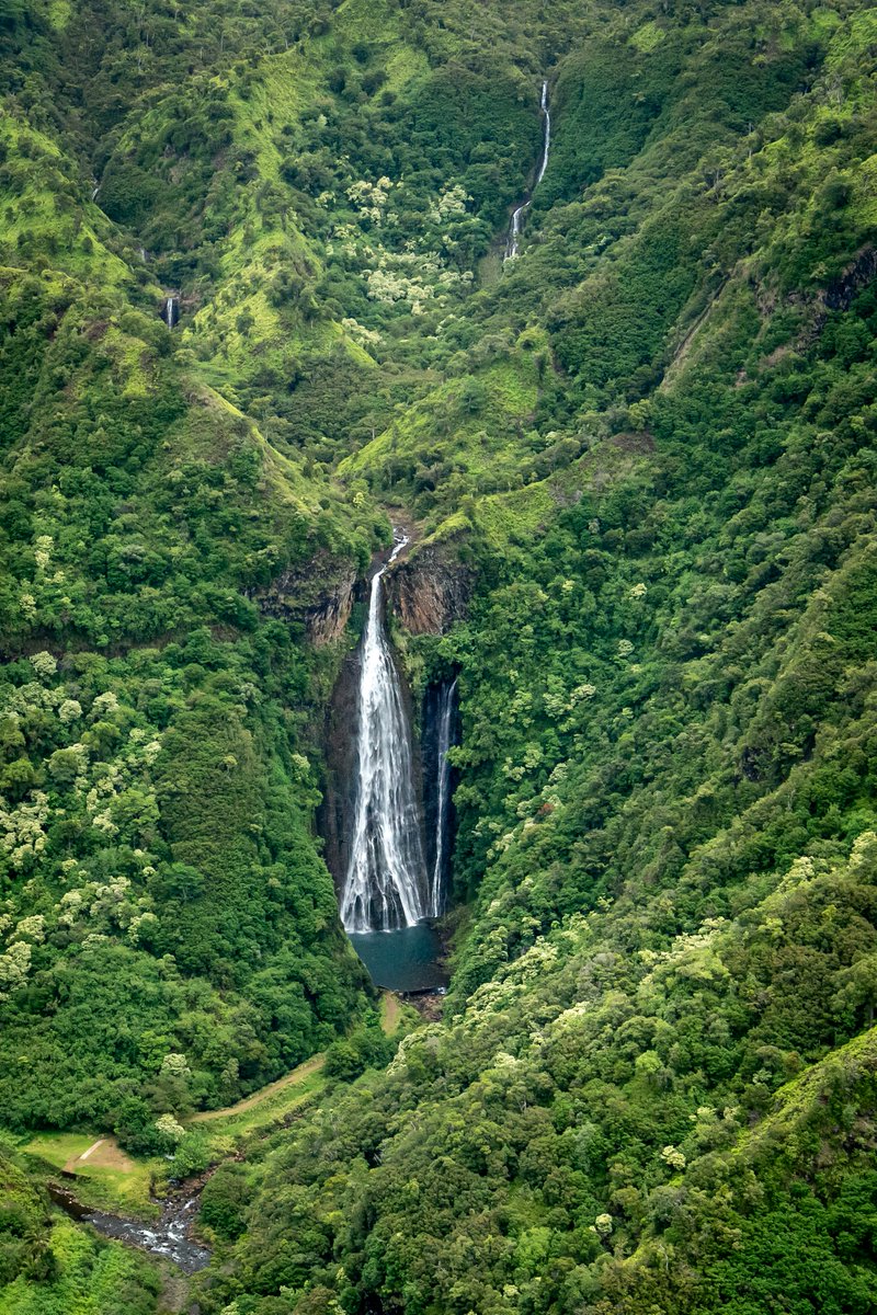 Chasing waterfalls 🚁💙 . . . #Hawaii #Waterfalls #ExploreHawaii #FlyHawaii #BlueHawaiianHelicopters