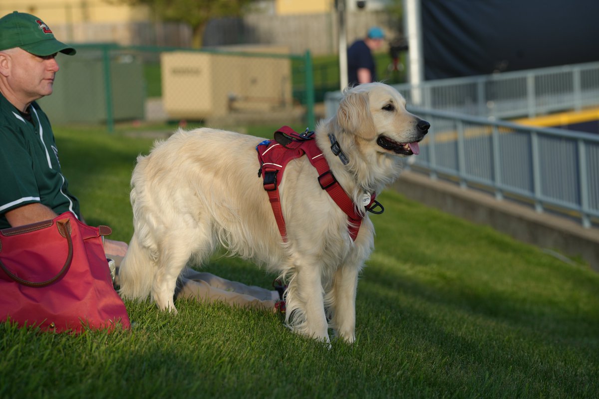 🐶 DAWG DAY - ALL pups get in FREE with a human ticket! 🗓️ May 9th at 6:35 PM 🍹 Exclusive Access to Pirates Bar ⛳️ FREE Mini Golf 🎟️ milb.com/lake-county/ti…
