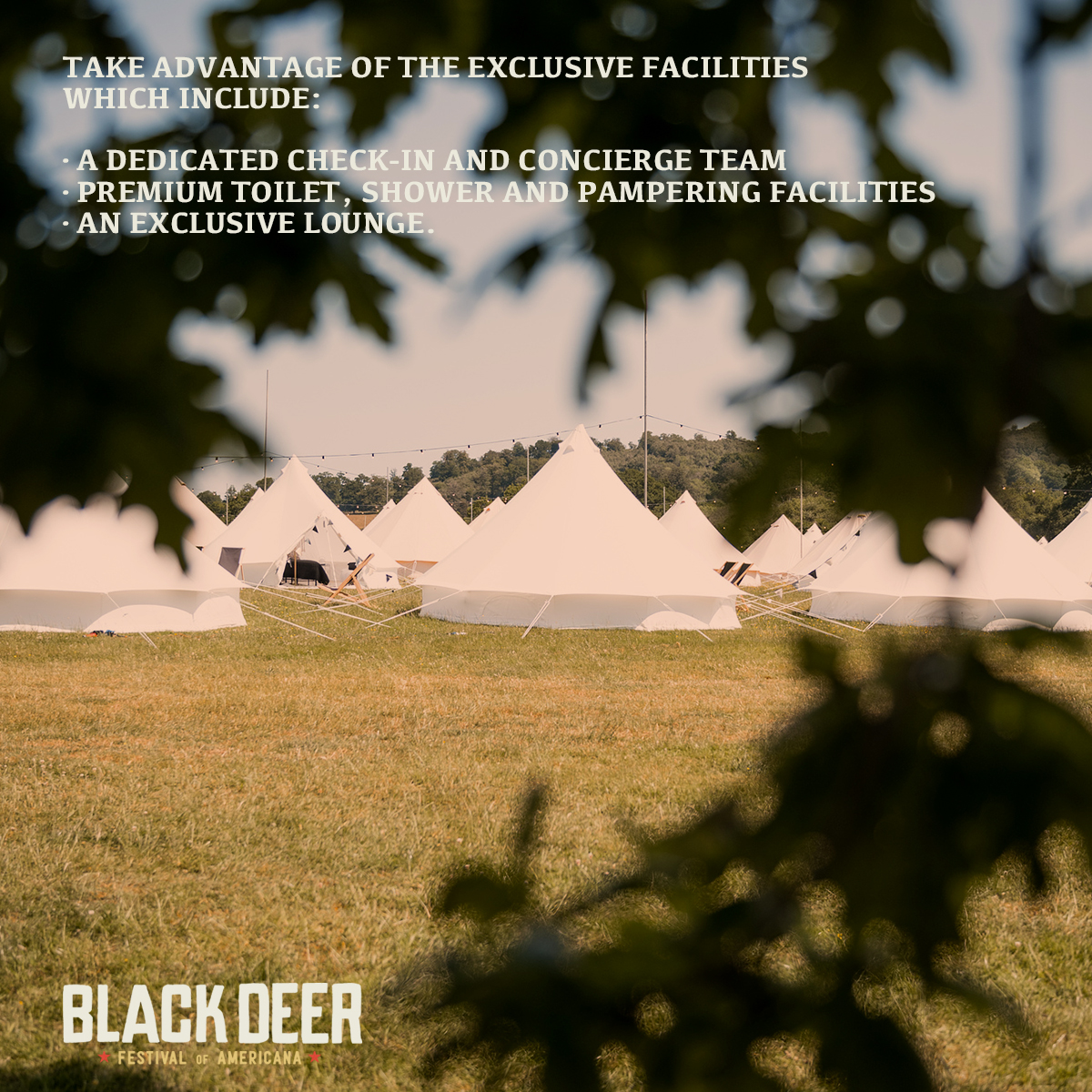 blackdeerfest tweet picture