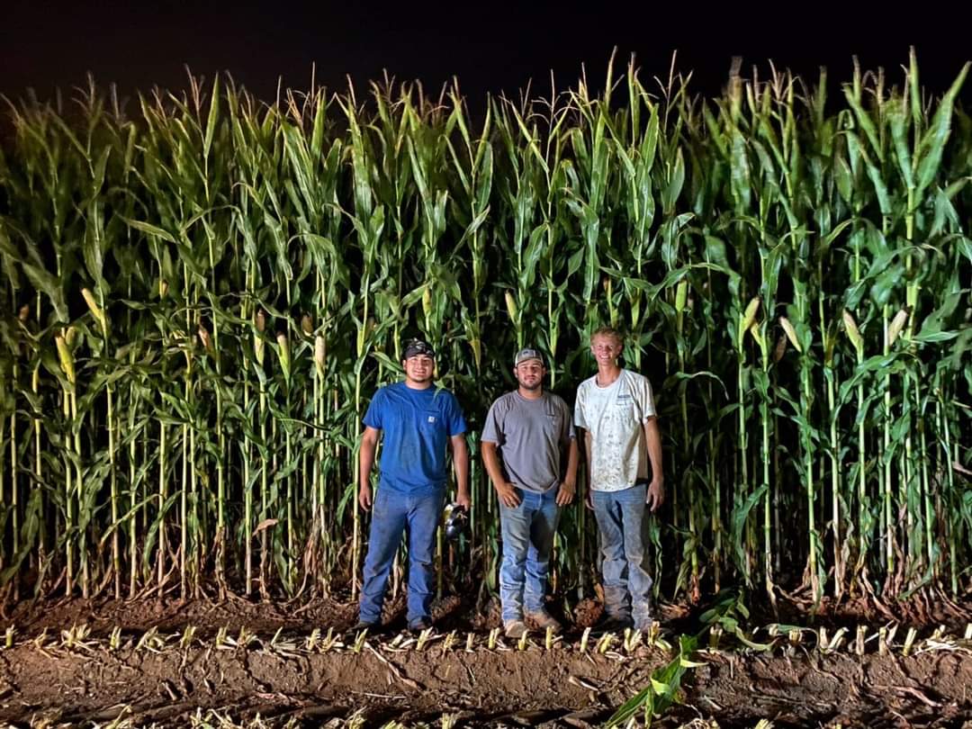 MosburgerA's tweet image. Getting some "Triple Threat" into hands of Ontario Corn Silage growers.
#conklin #Intensify #AmplifyD #SweetFulvic @ConceptAgriTek  @LiquidAgro #progerminator