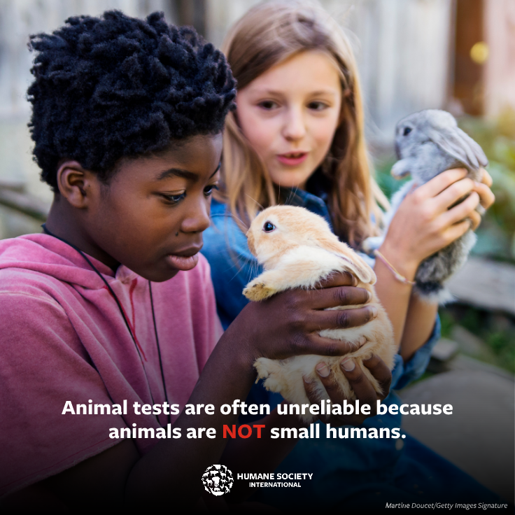 humaneworldeat's tweet image. Animals like rabbits and mice have important #biological differences compared to humans, so what works in an non-human animal&apos;s body may not work the same way in a human&apos;s body.

This makes #animaltesting unreliable in predicting human #safety. 👎🚫