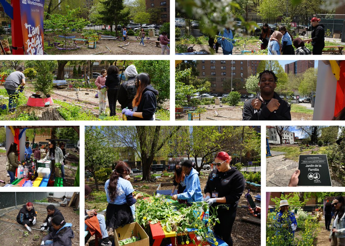 The #MetGala theme, the #GardenofTime , has us recalling recent events at CASW; perhaps it wasn't glamorous as the red carpet, but we definitely know of thing or two about gardening 🤷‍♂️

#CASWinc #nycyouth #communitygardens