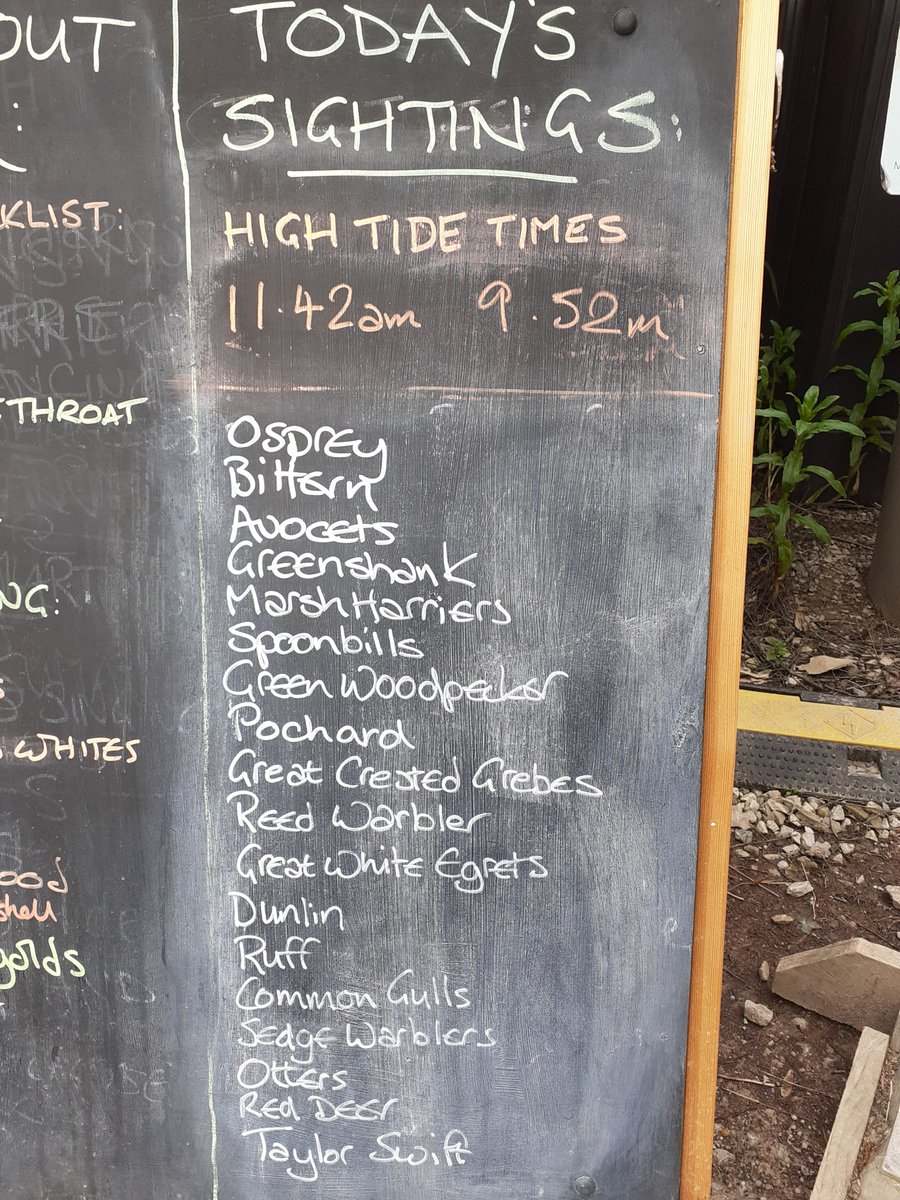 What's been seen @RSPBLeightonM today? Check out our sightings board for the info. There is one pretty unusual sighting on there, I'm not sure it has been verified though @taylorswift13 ?!