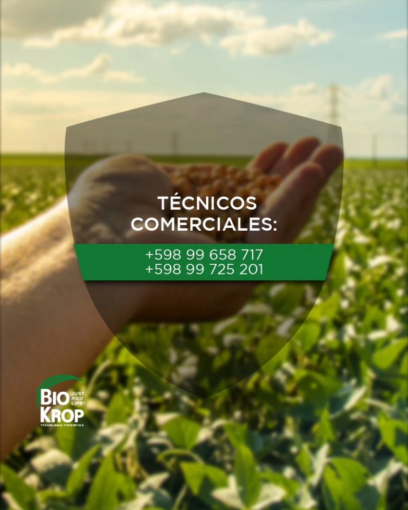 Al mal tiempo, mejor planificación ✅️

Te contamos como preparar el suelo y los cultivos para soportar condiciones climáticas adversas como un posible verano niña 2025.

📞 Técnicos Comerciales: +598 99 658 717 / +598 99 725 201