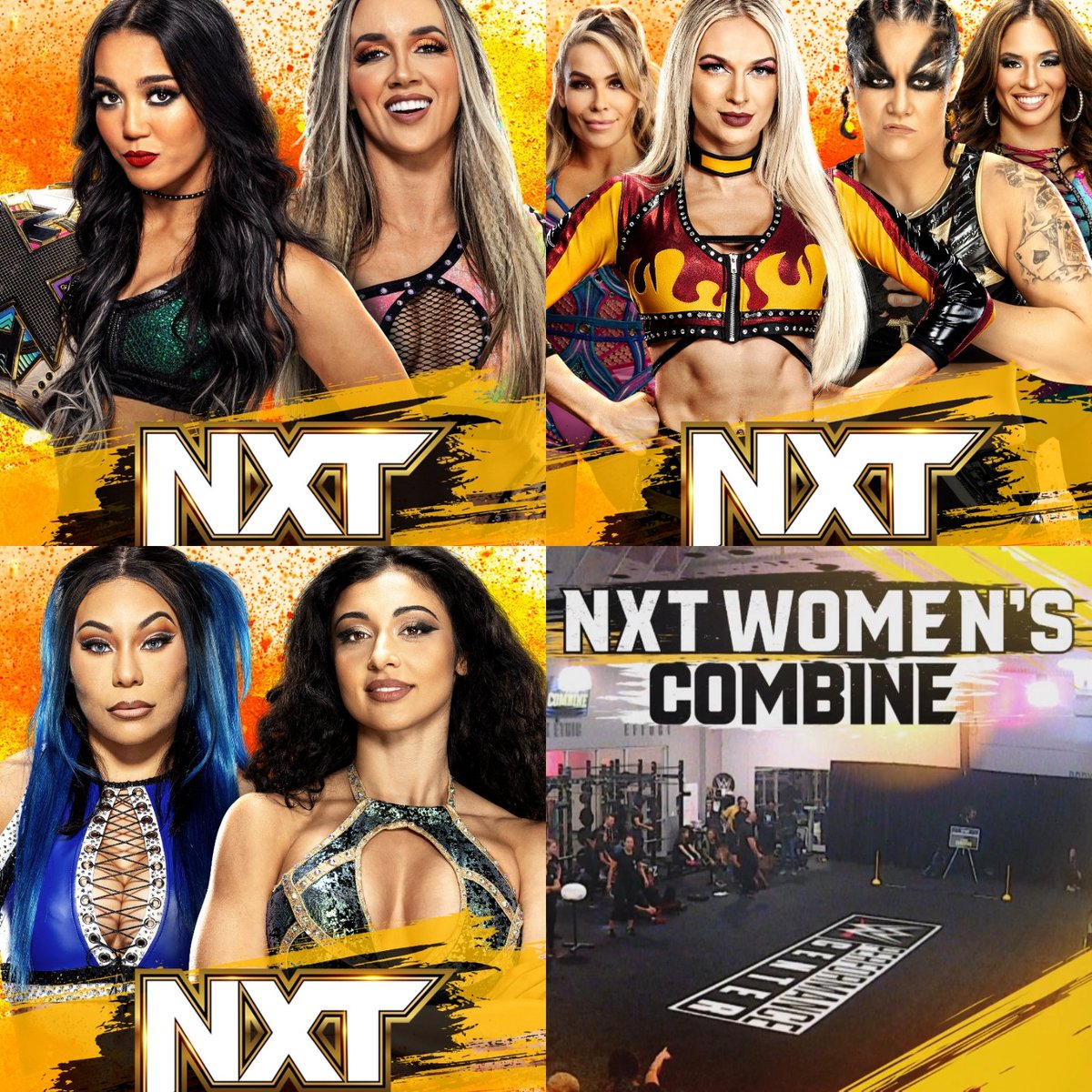 nxt women's championship match
two singles matches
women's combine to determine qualifying matches for the nxt women's north american championship ladder match

shawn michaels just knows how to use women the way they should on weekly tv & showcase them in many ways