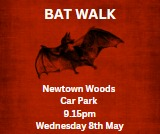 Join Tramore Eco Group tomorrow for a Bat Walk with expert Denis Cullen to answer your questions. Everyone welcome 🦇@BatConservIre @Irishwildlife