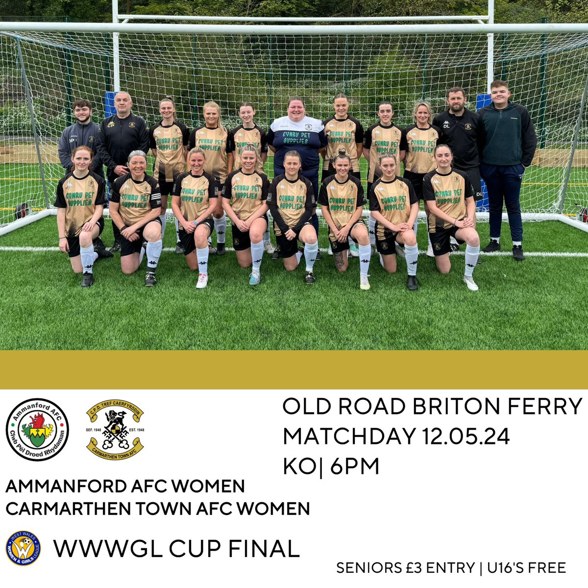𝗡𝗘𝗫𝗧 𝗚𝗔𝗠𝗘 🏆🎉 🫶 Come and support our women on Sunday in the WWWGL cup final against Ammanford. It’s a must-watch game. ℹ️ Prices: Seniors: £3 U16’s: Free @CTAFCacademy @CarmarthenAFC #UnHenAur | #OneOldGold