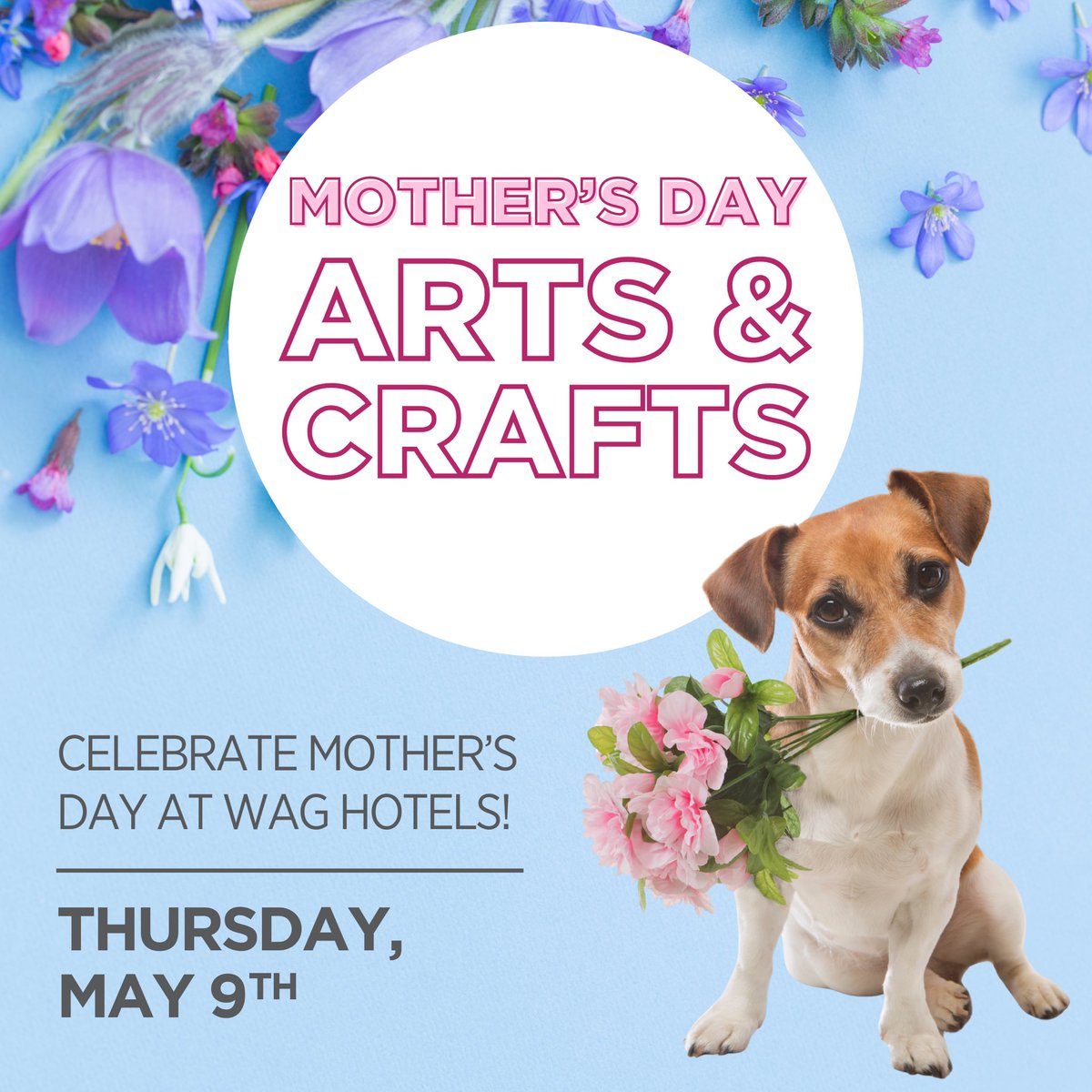 Let your pup unleash their inner Picasso & celebrate Mother’s Day @waghotels! 🐶🎨

Drop by for daycare this Thursday, May 9th for a pawsome arts & crafts event where your fur baby will create a personalized Mother’s Day card to take home. 🥰

#WagHotels #onlyatWagHotels #petcare