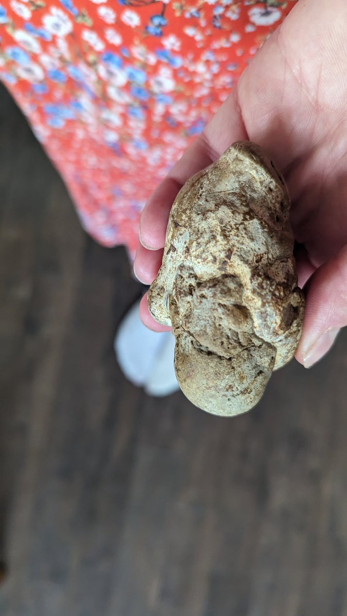 Read Teach Repeat tweet media