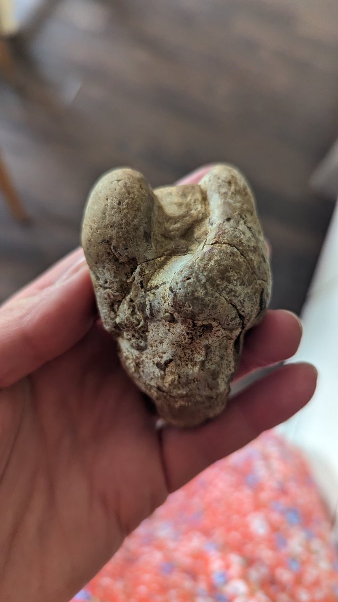 Read Teach Repeat tweet media