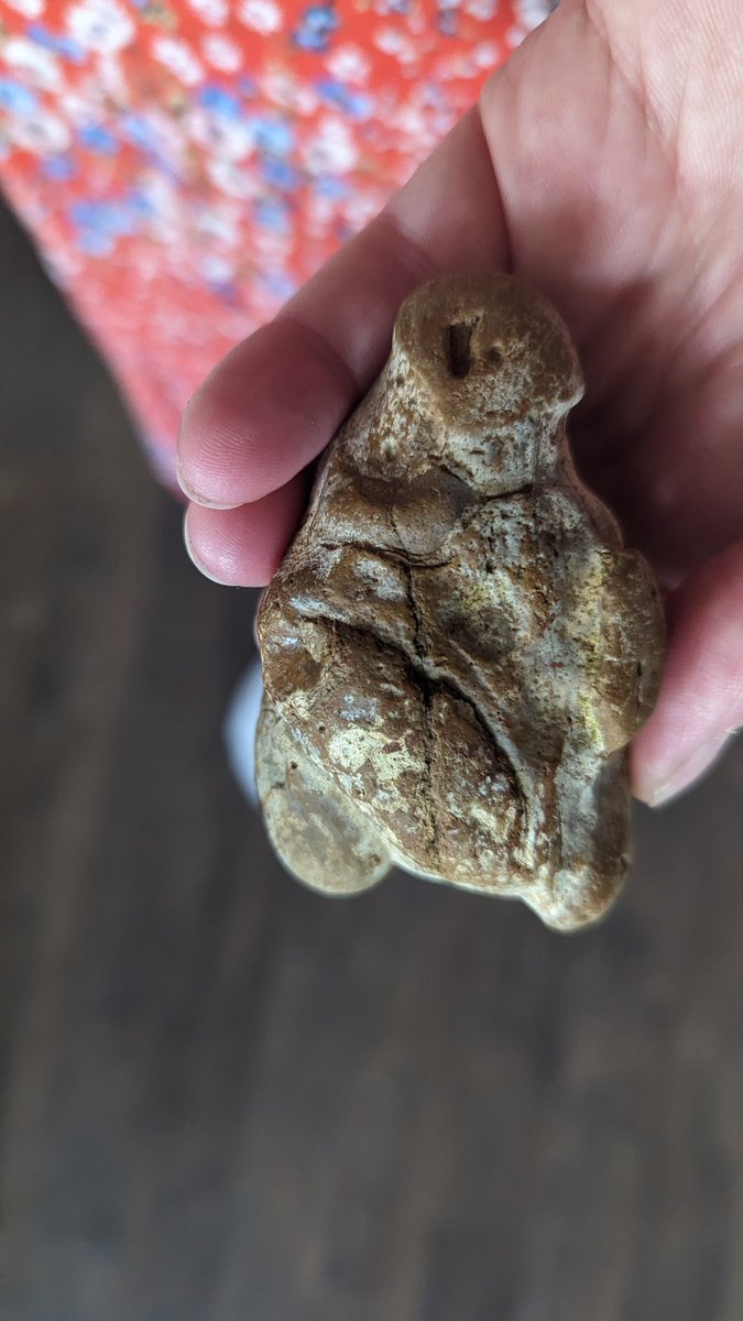 Read Teach Repeat tweet media