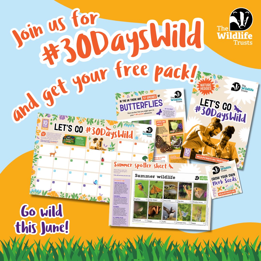 Can you go #30DaysWild and do one wild thing a day this June? Our wonderful wild challenge is back! It's free, it's fun and every connection with nature will benefit you, whether you take a hike or just sit on the grass a while! Sign up for a free pack: wildlifetrusts.org/30dayswild