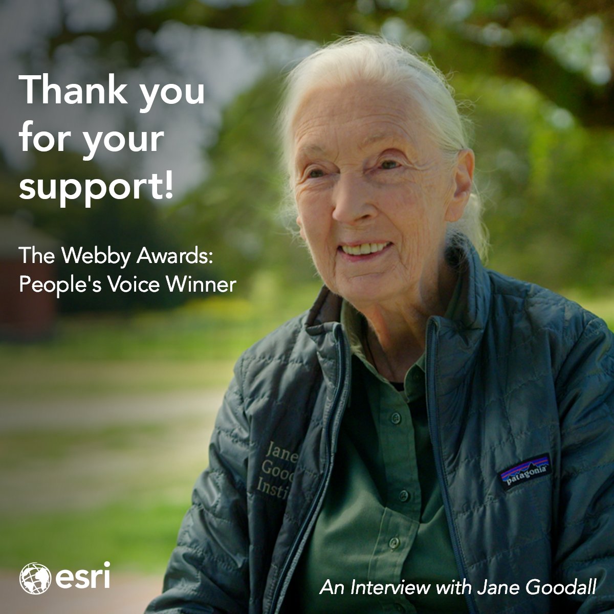 Thank you for supporting Dr. Jane Goodall and Esri with your votes! ❤️ We're honored to have 'An Interview with Jane Goodall' selected as @TheWebbyAwards People's Voice winner. esri.social/NLGZ50RyALv #Conservation #Webbys