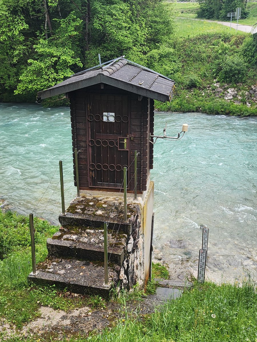 Mark Randall tweet media