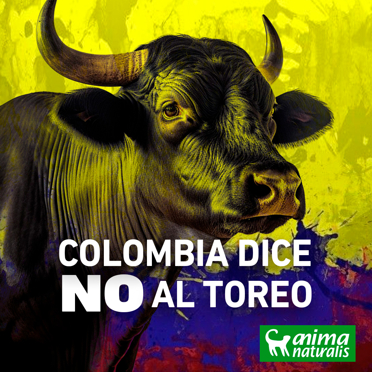¡Basta de incumplimientos! La Ley 916 de 2004 y la Sentencia C-666 de 2010 ya regulan el toreo. Urge que @CamaraColombia apruebe el Proyecto de Ley 219 para una #ColombiaSinToreo. 🐎🇨🇴🐂 #NoMásOlé