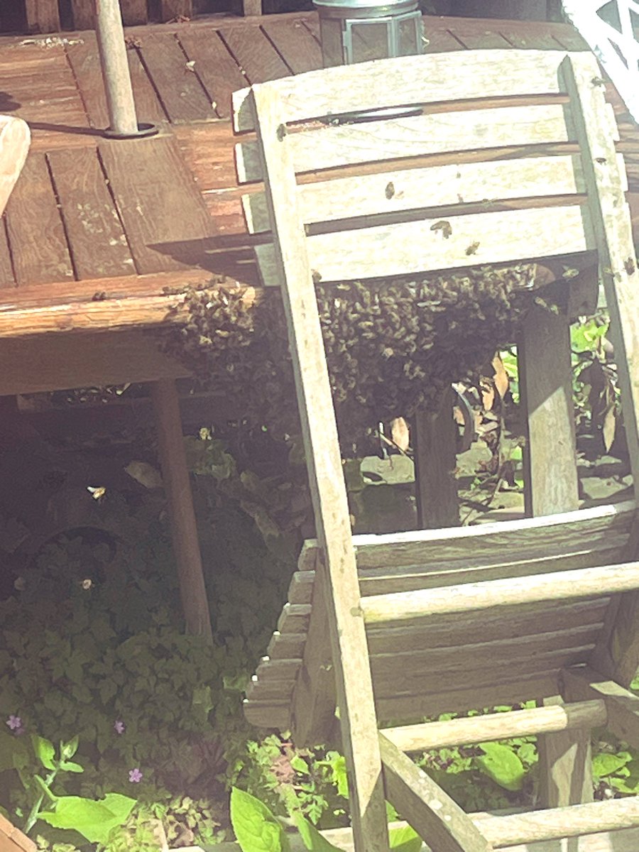 PJ Kirby KC tweet media