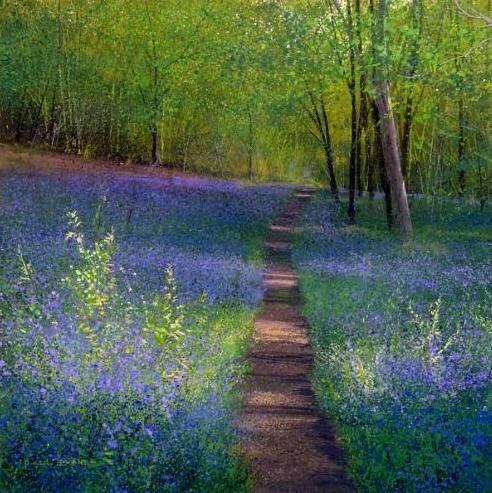Paul Evans ‘Bluebell Path The artist with the golden paintbrush. There isn’t one by him I don’t like or wouldn’t post. Top of his profession for sure