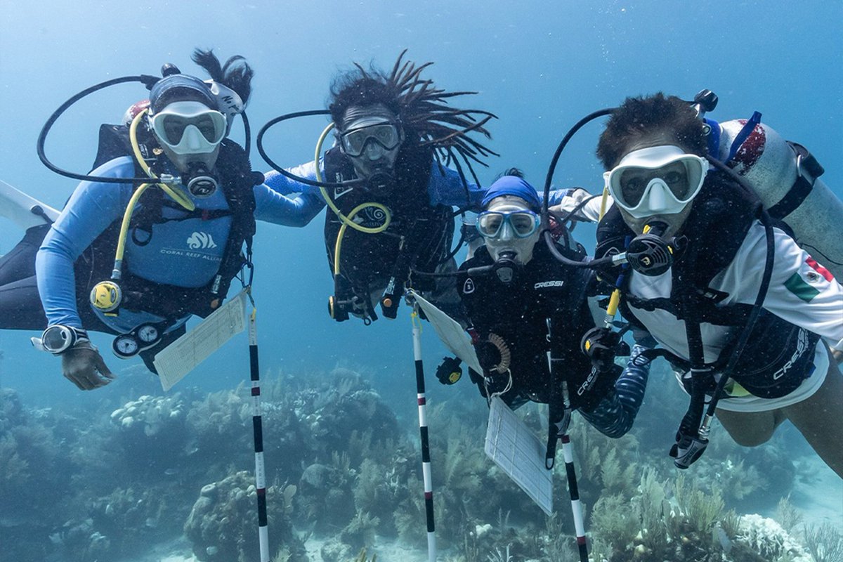 LAST CHANCE TO APPLY! We're on the lookout for a remote Director of Finance and Operations to join our team. Contribute to groundbreaking conservation strategies that make a lasting impact on coral reefs 🪸 We can't wait to meet you! Apply today 👉 hubs.la/Q02wnHVy0