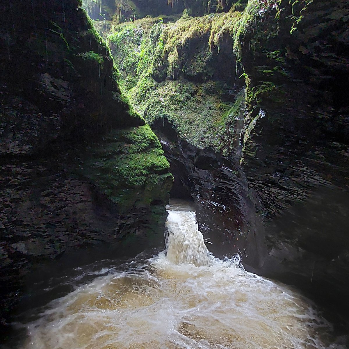 DartmoorNT's tweet photo. The #DevilsCauldron at Lydford Gorge.
Now the gorge is full of spring greens it's a real #rainforest adventure down there 🌿🌳🪻 https://t.co/nus73mmODP