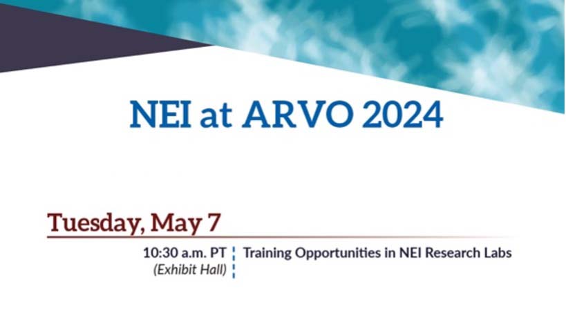 Another day at #ARVO2024. How has it been for you these past few days? Come by the Exhibit Hall at 10:30 a.m. PT today to learn about training opportunities in the #NEI labs! For our full schedule: nei.nih.gov/arvo