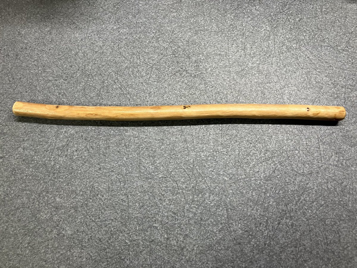 この木の棒はただの木の棒に見えるかもしれない。
しかし、これは「しんちゃん棒」と言って、約1年前に新町キャンパスの隣にある公園で『しんちゃん』という男の子から貰った大切な大切な木の棒なのである。