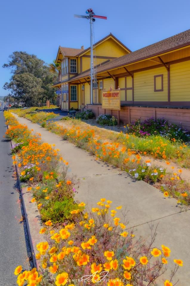 CentralCoastPictures tweet media