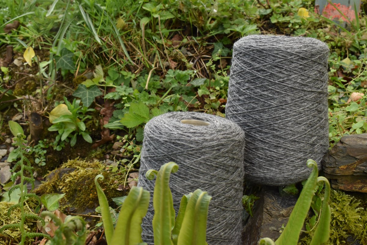 Our Pure Gotland DK wool on cone has been produced with fibre sourced from Tongue of Bombie farm, Galloway. The yarn has a wonderful lustre, takes dye beautifully and knits up to produce a remarkably light fabric: 
blackeryarns.co.uk/pure-gotland/