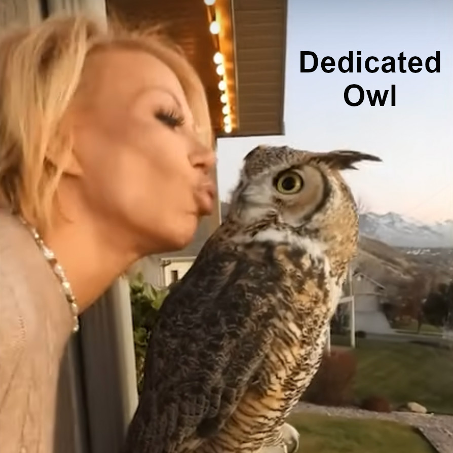 Watch the video and see the auxiliary information about this wonderful pet owl at FreeSpeedReads.com/dedicated-owl (#owl, #petOwl, #greatHornedOwl, #hornedOwl, #strangePet, #unusualPet, #bird, #ornithology)