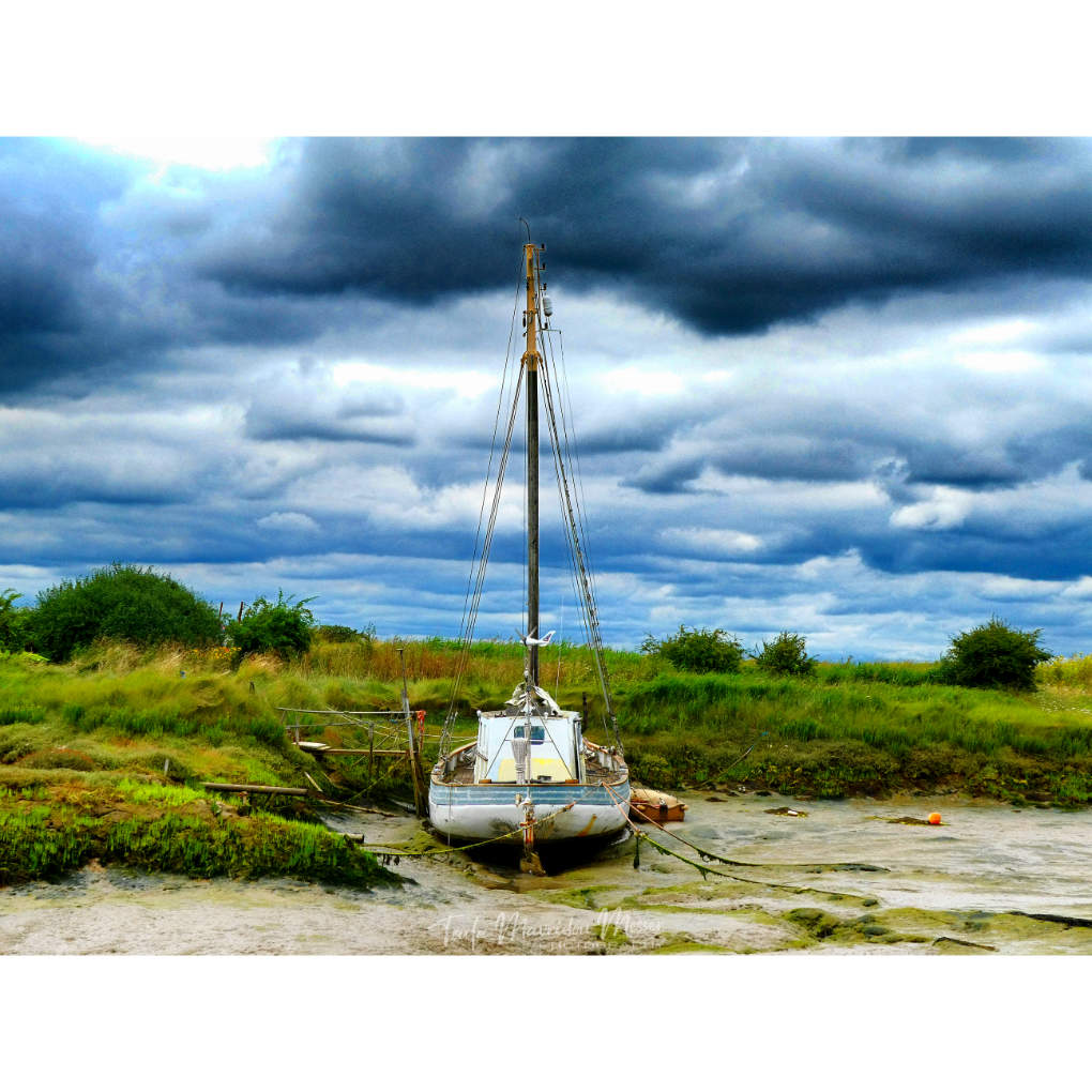 @StormHourMark Boats.

#StormHour #ThePhotoHour #ThemeOfTheWeek