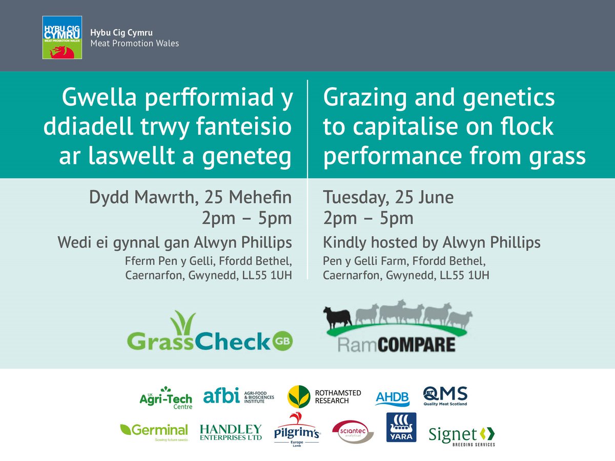 Save the date! Join us at this event for the latest updates from the @GrasscheckGB and @RamCompare projects with farmer Alwyn Phillips who is involved in both, @SamBoonBreeding from Signet and Taro Takahashi from @AFBI_NI. Contact us to register: info@hybucig.cymru