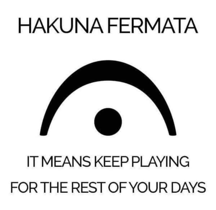 hakuna matata who? we only know hakuna fermata. although it may mean the opposite of no worries

 #meme #musicmeme #musician #funnymeme