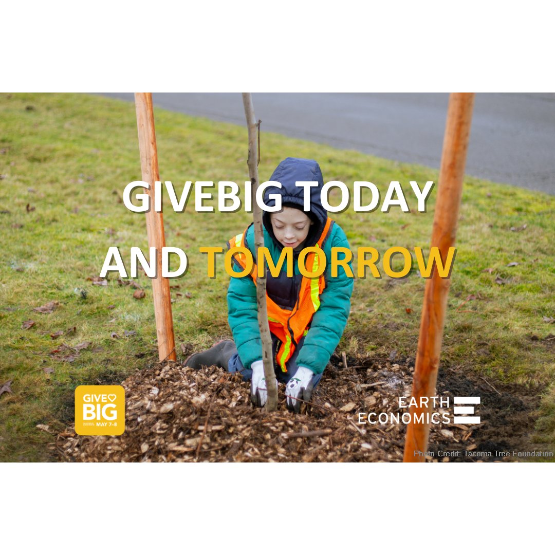 #GiveBIG2024 is officially here! This year, we hope you’ll help Earth Economics support Tacoma Tree Foundation’s greening efforts across Tacoma. #ResilientCommunities #GreenCommunities #GreenSchools #giveback

ow.ly/xPvo50RkxUg