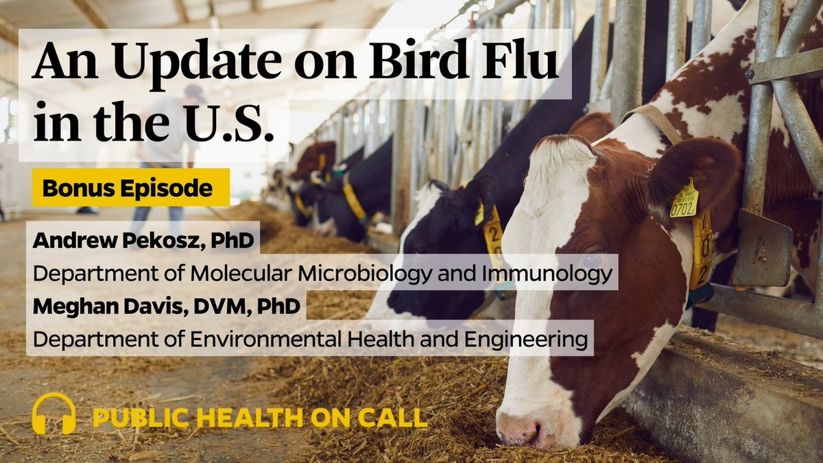 Get an update on #H5N1 from virologist @AndrewPekosz and veterinarian @MeghanDavisDVM. They share what we’ve learned from viral sequencing, potential risk to humans and animals, and how the U.S. has been—and could be—responding. Listen to the episode: johnshopkinssph.libsyn.com/bonus-an-updat…