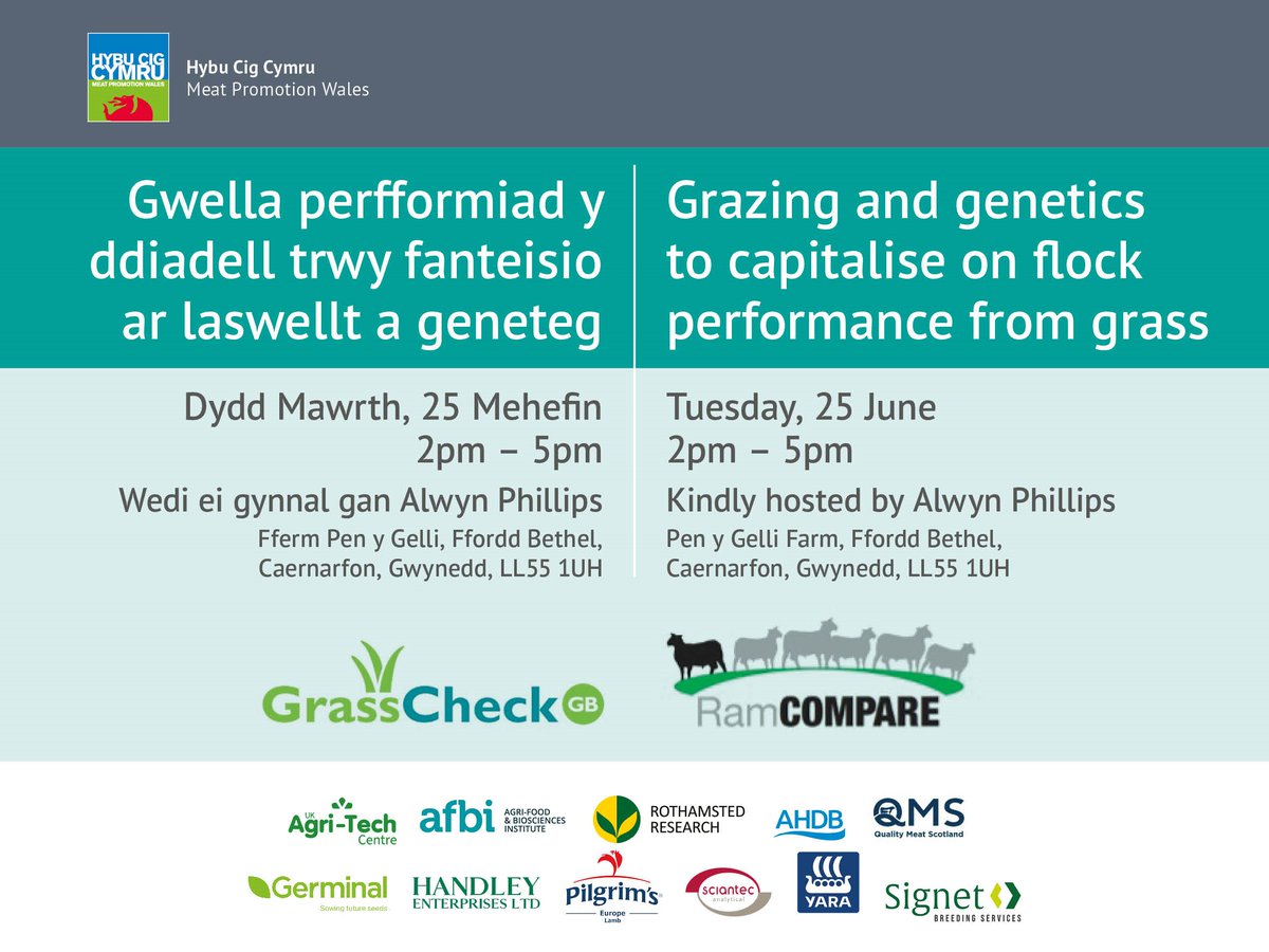 Cadwch y dyddiad! Ymunwch â ni yn y digwyddiad yma i glywed y diweddaraf gan @GrasscheckGB a @RamCompare yng nghwmni’r ffermwr Alwyn Phillips sy’n rhan o’r ddau brosiect, @SamBoonBreeding o Signet a Taro Takahashi o @AFBI_NI. Cysylltwch i gofrestru: info@hybucig.cymru