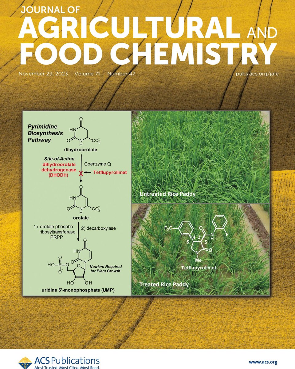 This paper, co-authored by 9 FMC scientists, describes the discovery path to tetflupyrolimet, the first new herbicide with a novel mode of action in the crop protection industry in over three decades. #researchanddevelopment #chemistry ➡️pubs.acs.org/doi/10.1021/ac…