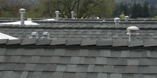 Breathe easy with this guide to roof ventilation 

askaroofer.com/post/breathe-e… 

#PacificWestRoofing #AskARoofer #HaveAQuestionAskARoofer #RoofersCoffeeShop #RoofingPro #RoofMaintenance #RoofRepair