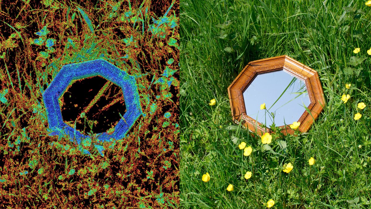 Comparison:
Confidence map on the left, photo on the right. 

Confidence mapping is a process of photogrammetry, essentially providing a heatmap of 'certainty' to 3D scanned pointclouds. 

Blue = confident. 
Red = not confident. 
Black = not processed.