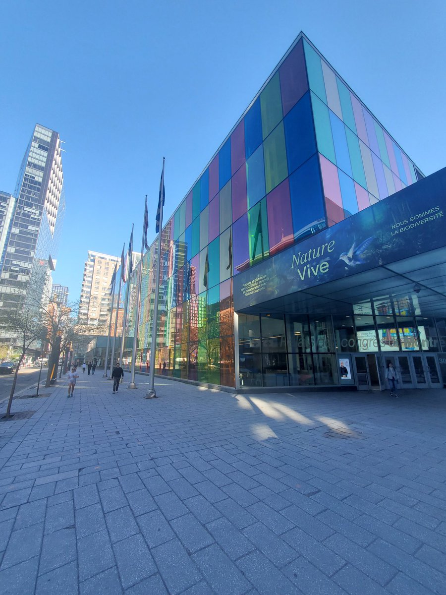 Napoleon Engineering Services tweet media